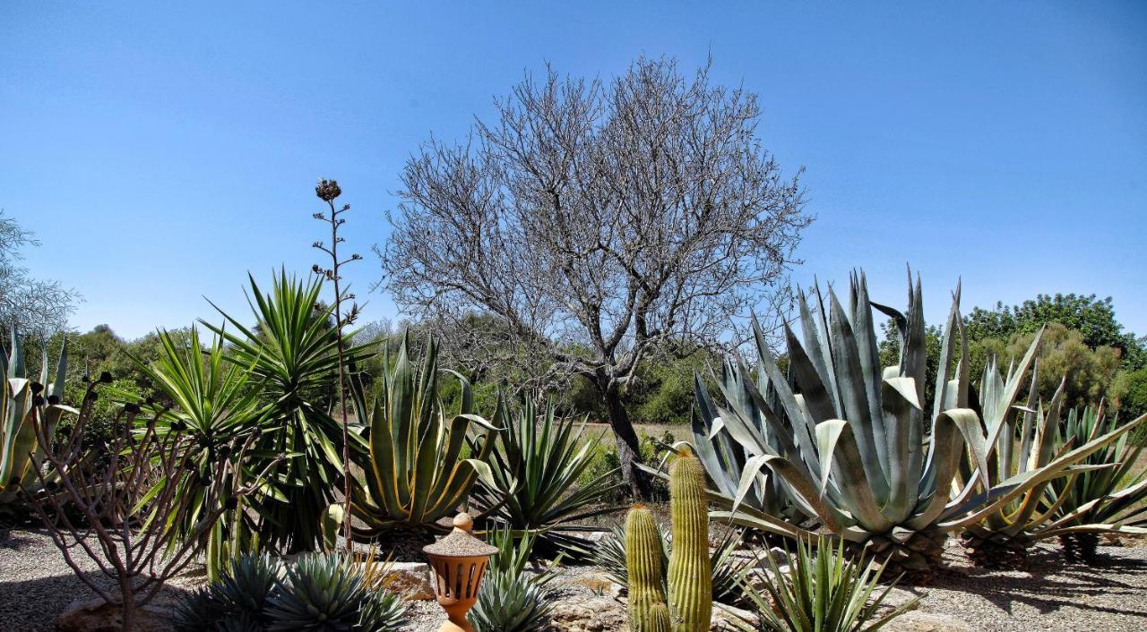 Finca Casa Mas Santanyi Bagian luar foto